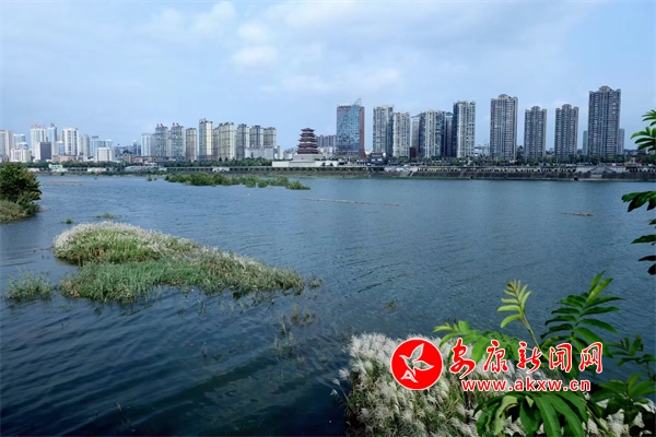 ������������Ӱ��֮����