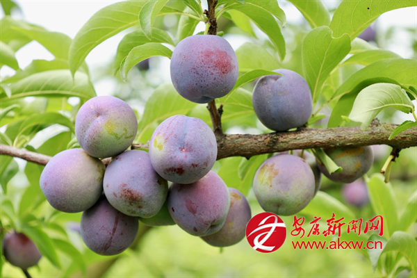 �f(w��n)������ӭ��(l��i)�S�ռ�