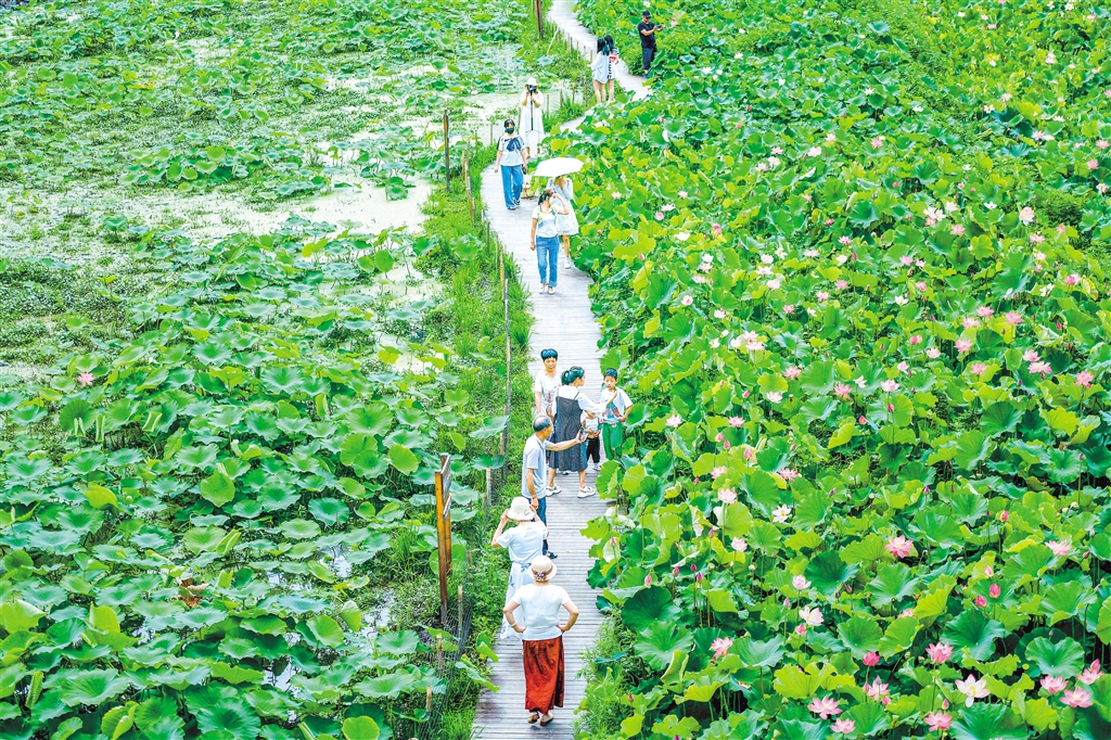 ���qС�徰ɫ����