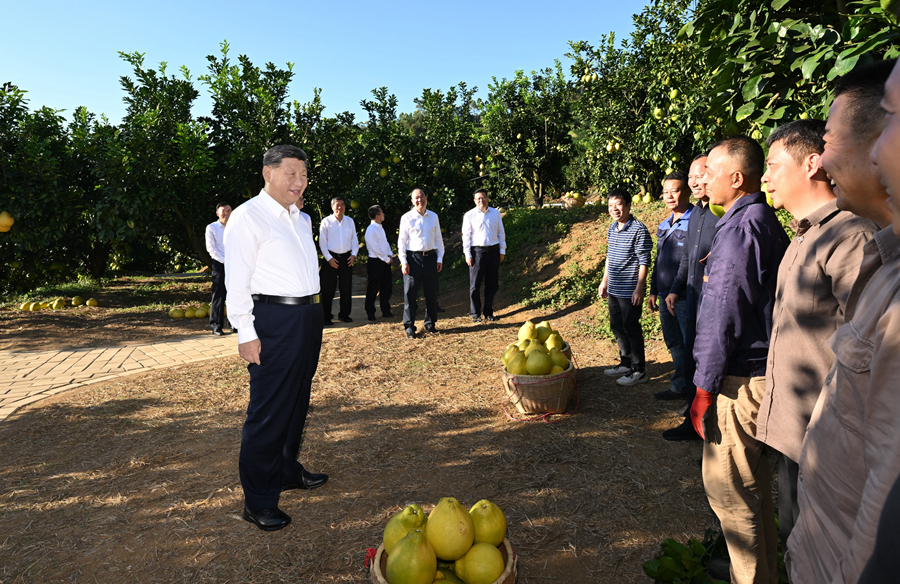 2025年11月7日，習(xí)近平總書記在梅州市梅縣區(qū)雁洋鎮(zhèn)南福金柚種植基地考察時(shí)，同果農(nóng)和農(nóng)技人員親切交流。