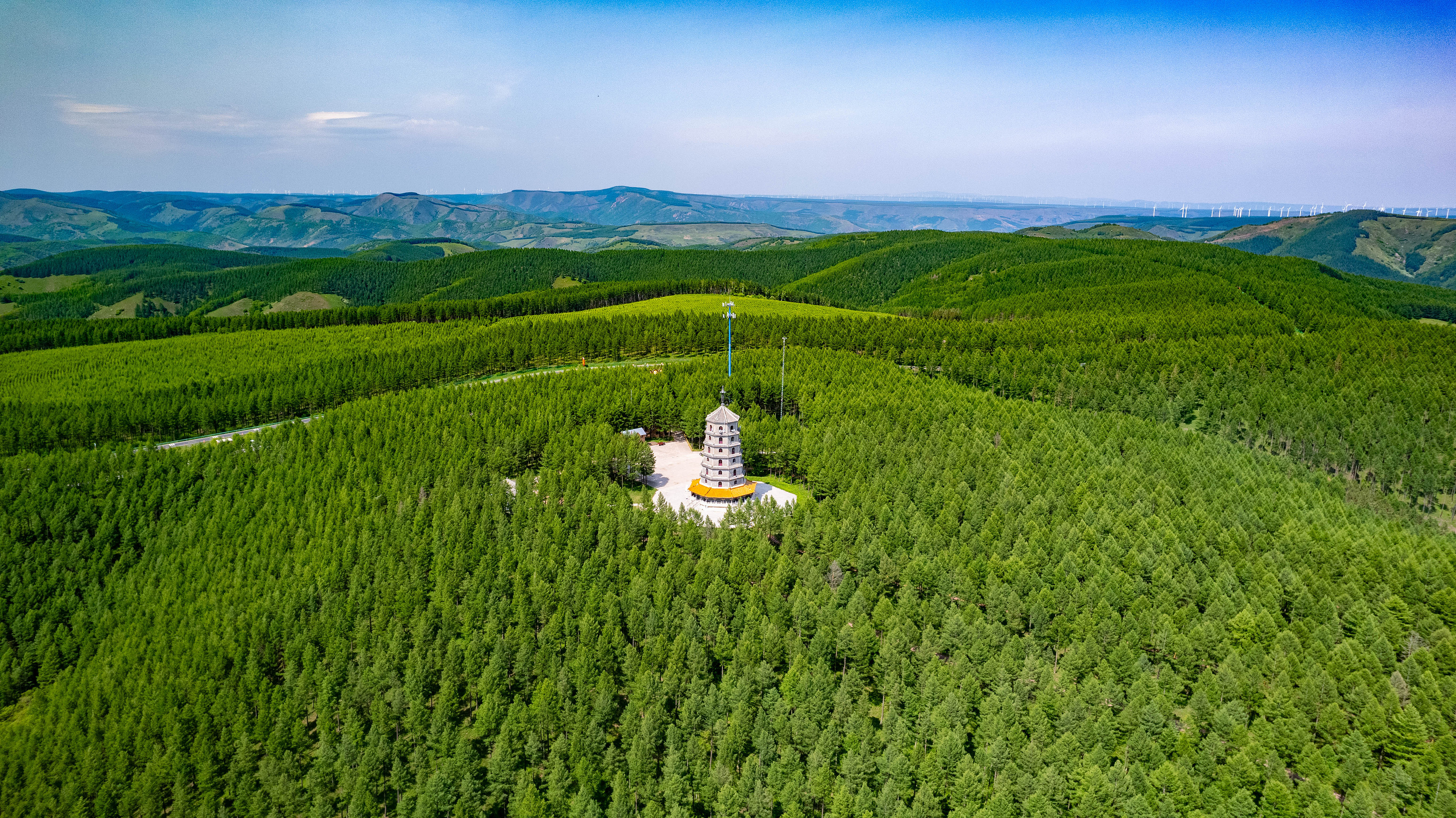 2025年6月11日，河北承德，塞罕壩林海浩渺。